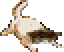 Kitten
