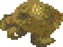 Sea turtle