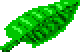 Palm tree leaf