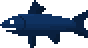 Angelfish