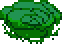 Cabbage