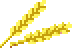 grain