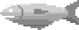 Raw Herring