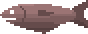 Herring