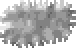 Grey wolf fur