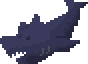 Raw Shark