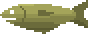 Mackerel