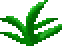 seaweed