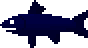 Raw giant carp
