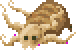 Seaslug