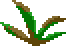 Ardrigal