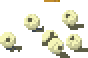 Bone Beads