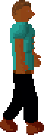 Zambo