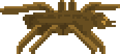 spider