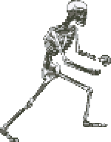 skeleton