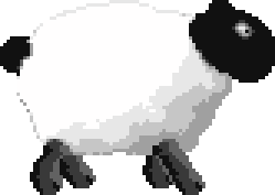 4th plague sheep