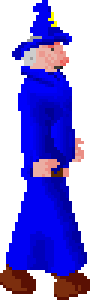 Magic store owner