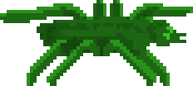 Jungle Spider