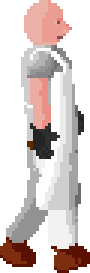 Professor