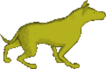 Desert Wolf