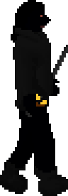 Shadow Warrior